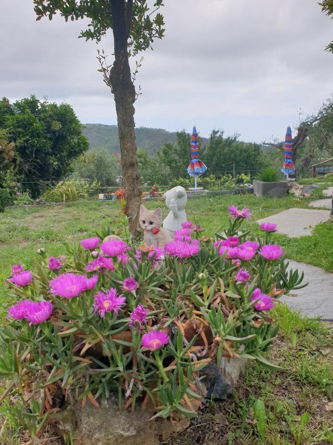 Ca' Olivella Villa Casarza Ligure Eksteriør billede