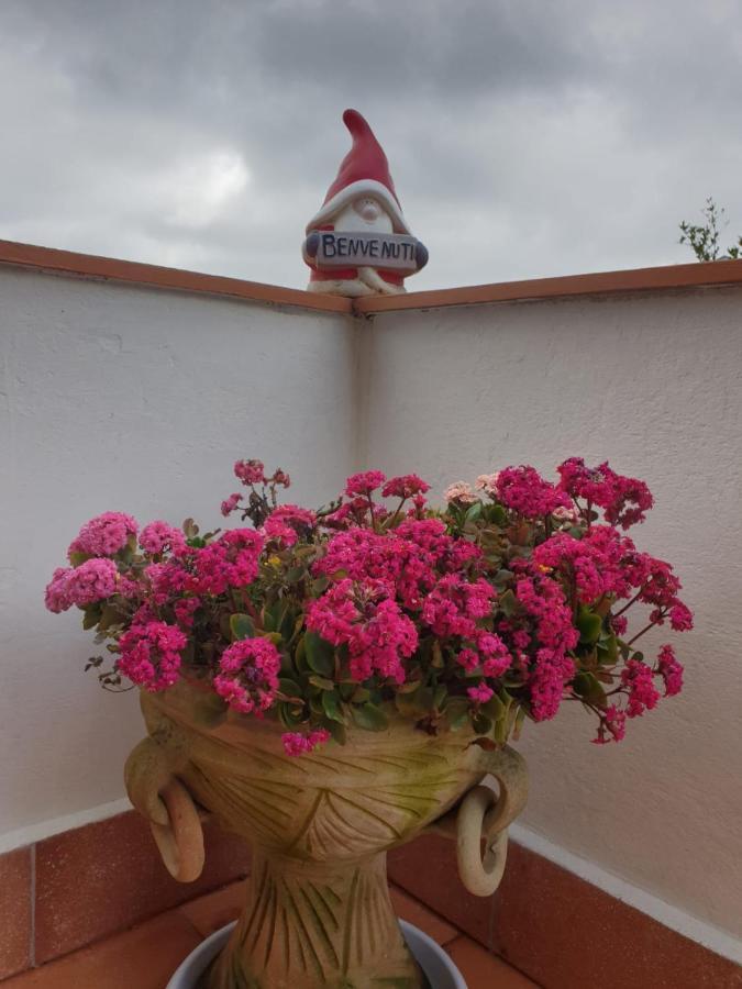 Ca' Olivella Villa Casarza Ligure Eksteriør billede