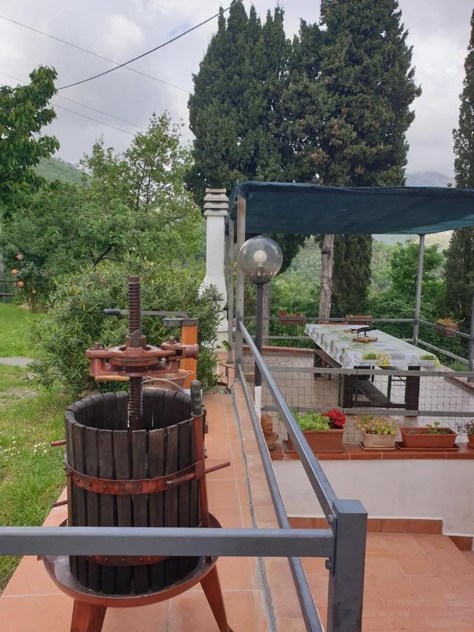 Ca' Olivella Villa Casarza Ligure Eksteriør billede